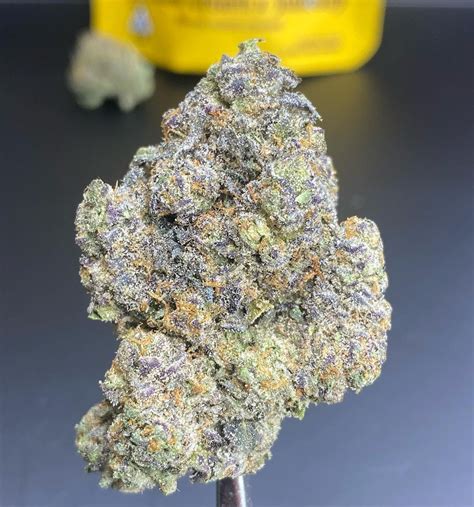 The Banana Cream buds feature flat, neon green nugs with gold undertones, matched with crystal trichomes. . Banana cream jealousy strain allbud